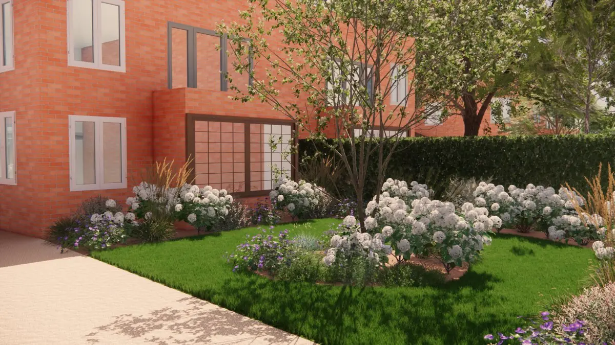 3D-ontwerp van een achtertuin bij een rijtjeswoning: gazon met een border van witte hortensia’s, een meerstammige boom en een geschoren haag langs de erfgrens