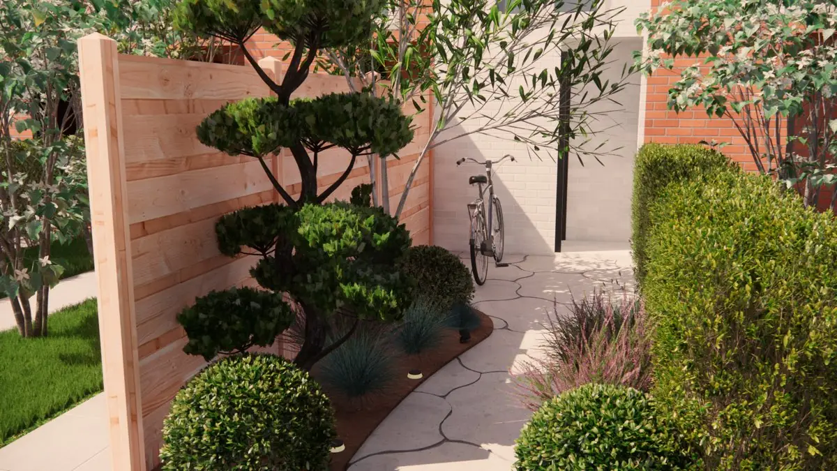 3D-ontwerp van een smalle stadstuin: een lichte horizontale houten schutting, een gesnoeide den in wolkvorm, buxusbollen en siergrassen langs een gebogen tegelpad