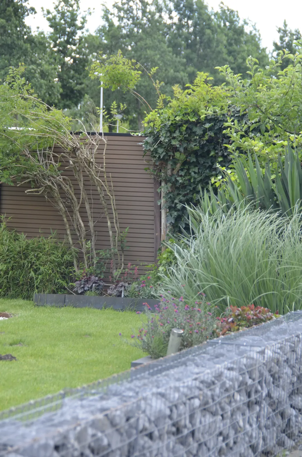 Composieten panelen achter de beplanting, met gaas ertussen