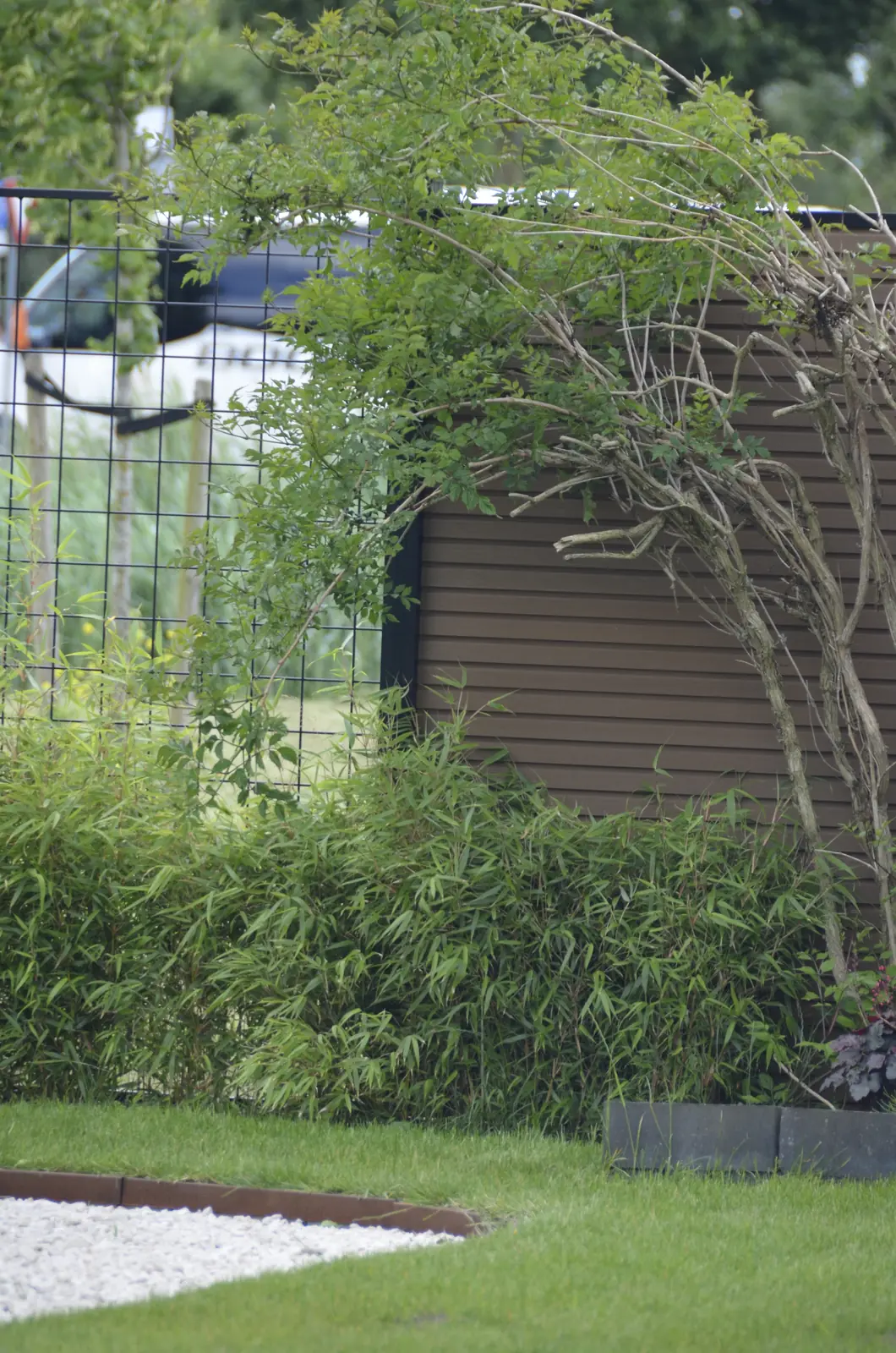 De tuin in het geheel: gazon, border en composieten schutting
