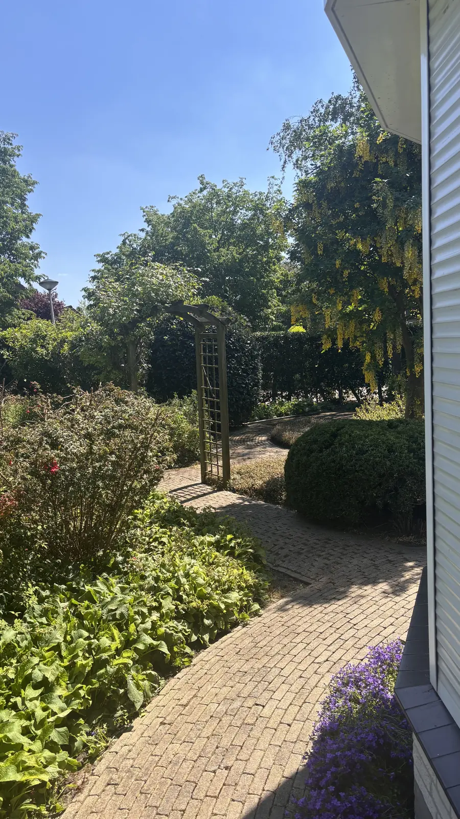 Klinkerpad met daarnaast borders vol vaste planten