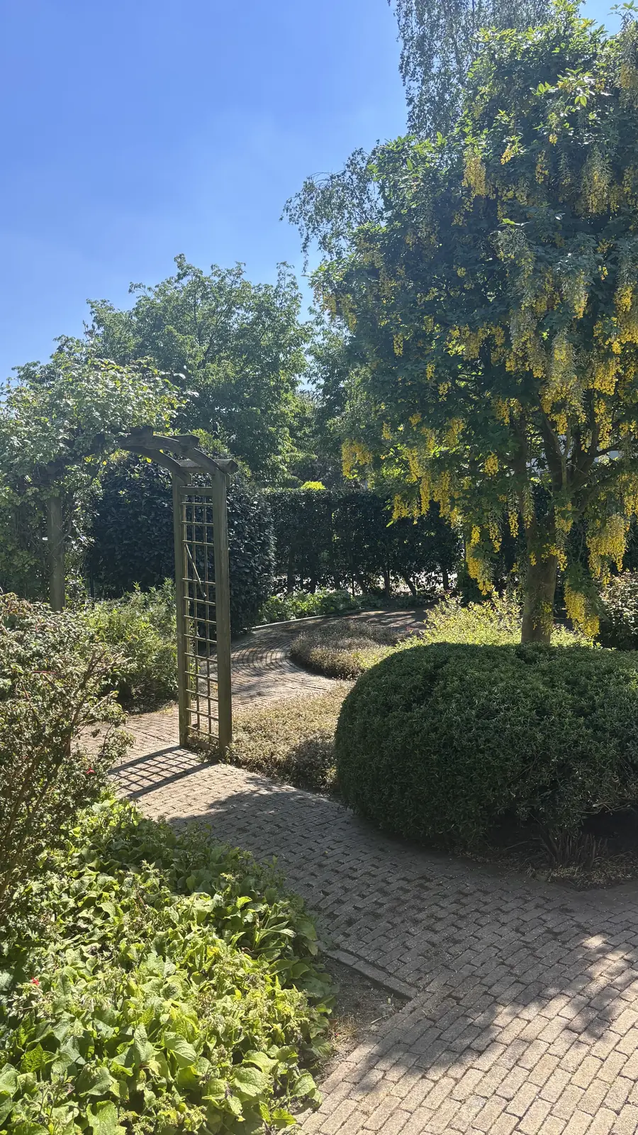 Overzicht van de tuin voor het snoeiwerk