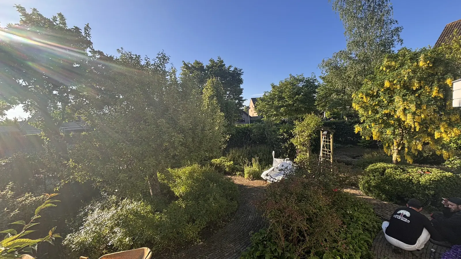 De tuin vanaf het terras voor de snoeironde