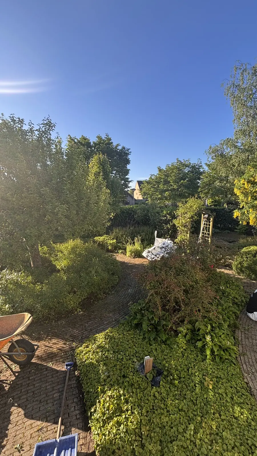 De achterzijde van de tuin voor het onderhoud