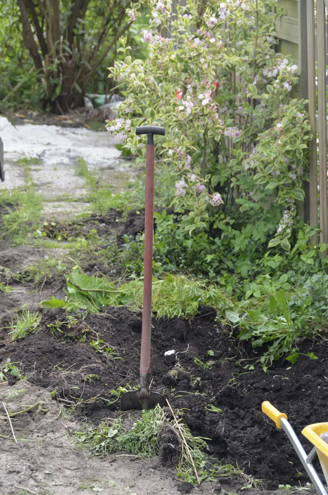 Uitgegraven border met de bestaande beplanting die blijft staan