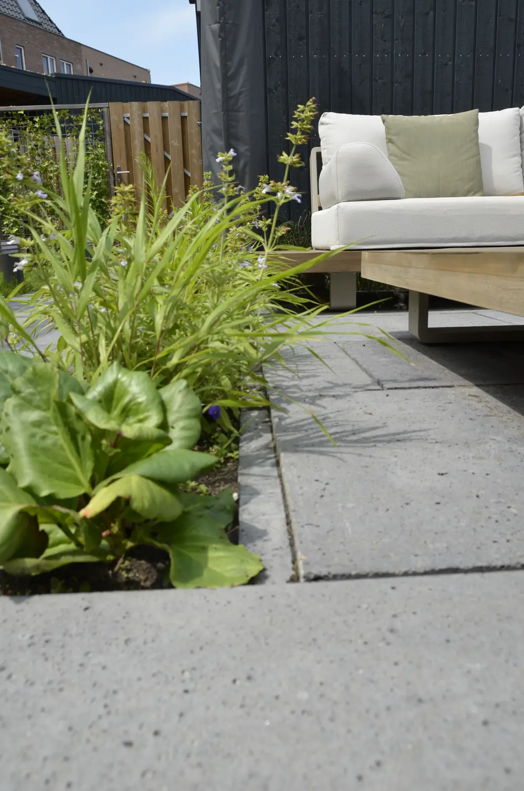 Siergras en vaste planten in de border naast het terras van betontegels
