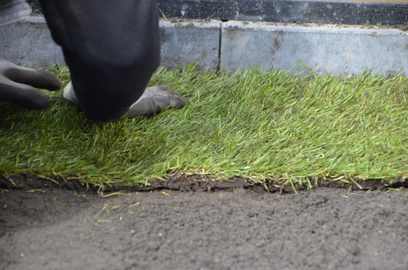 Graszoden worden strak tegen de opsluitband gelegd