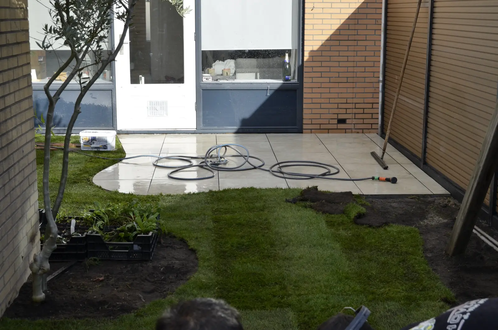 Keramisch terras met gebogen rand, nieuw gazon en de olijfboom die bleef staan
