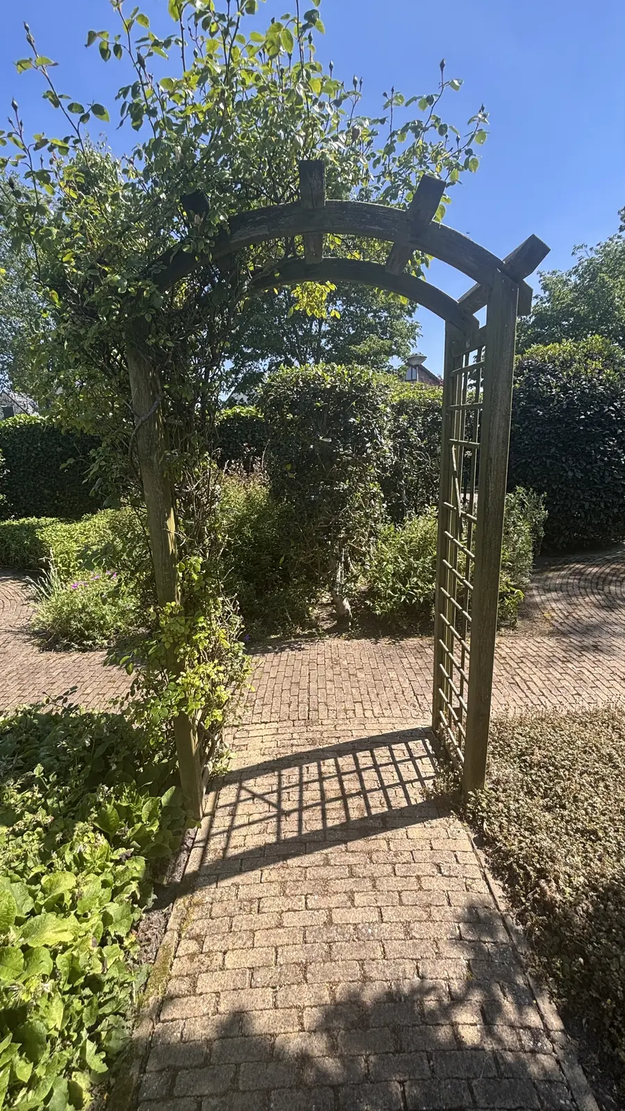 Slingerend klinkerpad tussen de borders