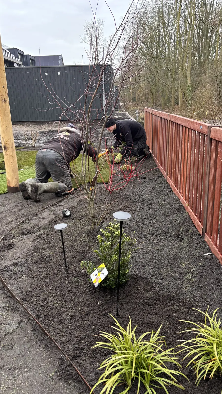 Hovenier plant de border langs de schutting