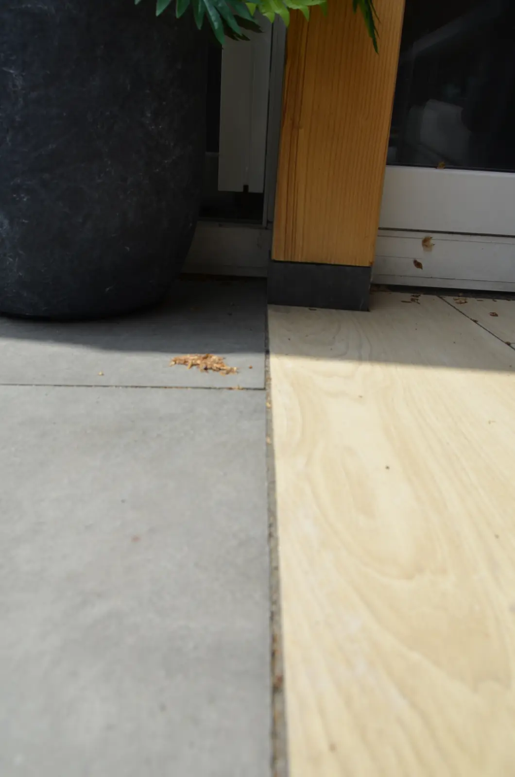 Nieuwe houten schutting met betonpalen langs de erfgrens