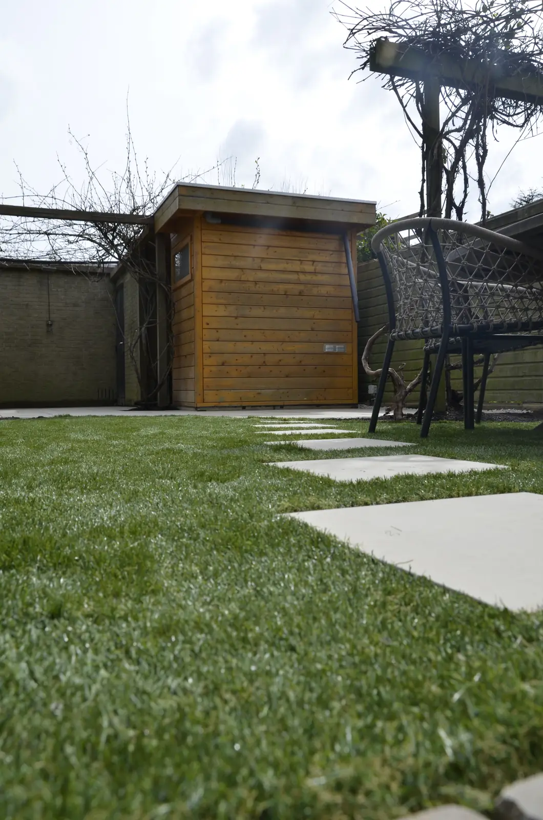 Gazon met de klimopwand en het tuinhuis