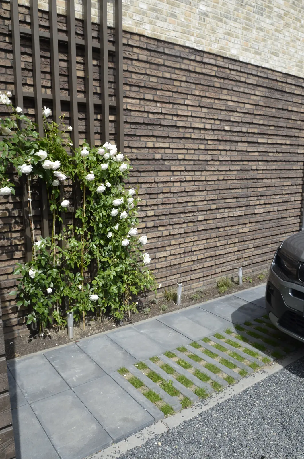 Beplanting langs het water, gezien vanaf de hardhouten vlonder