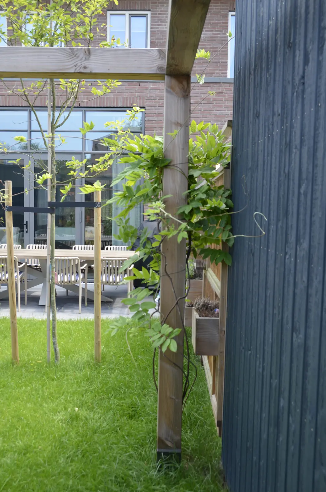 Klimplanten langs het houten scherm boven het gazon