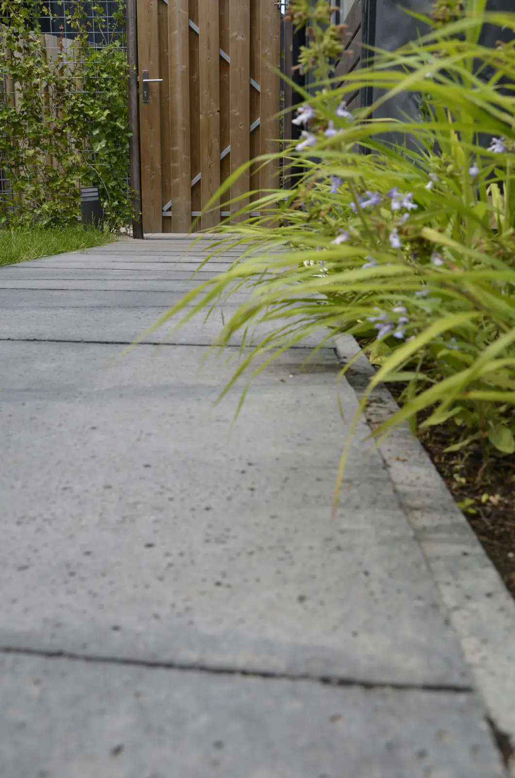 Betonnen pad langs de border met siergrassen
