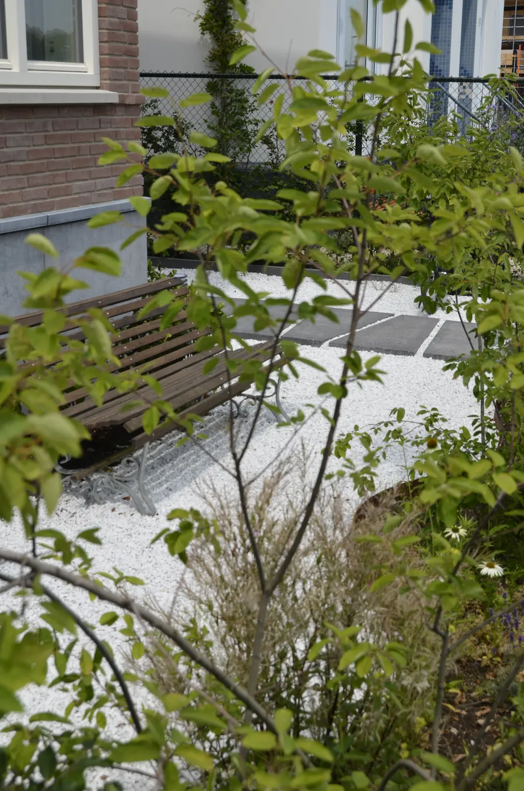 Bank in het grind tussen de beplanting