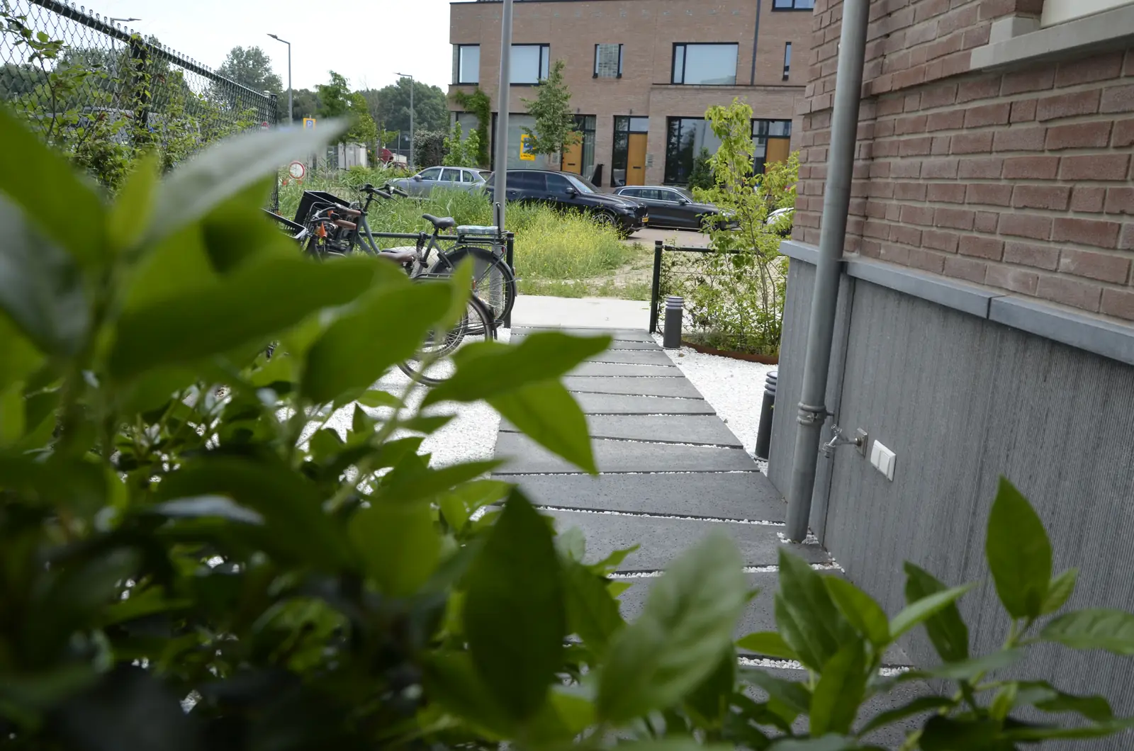 Beplanting op de voorgrond met het pad erachter