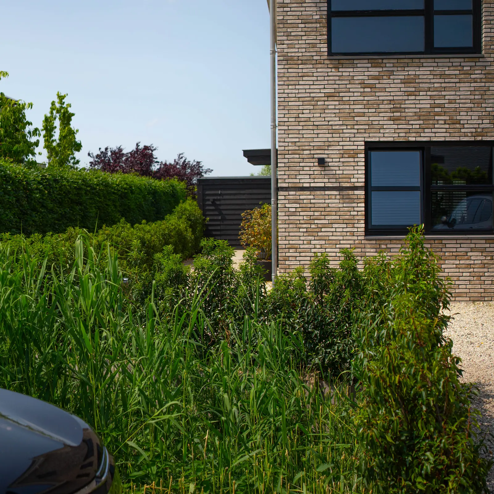 Beplanting langs het grindpad naar de voordeur