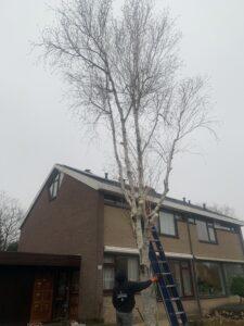 berk-verwijderen