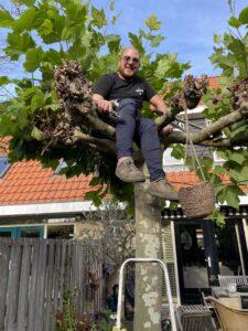 bomen-snoeien-hovenier-jvanstijn-barendrecht