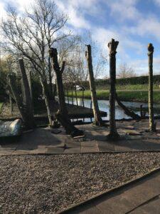 bomen-snoeien-rotterdam