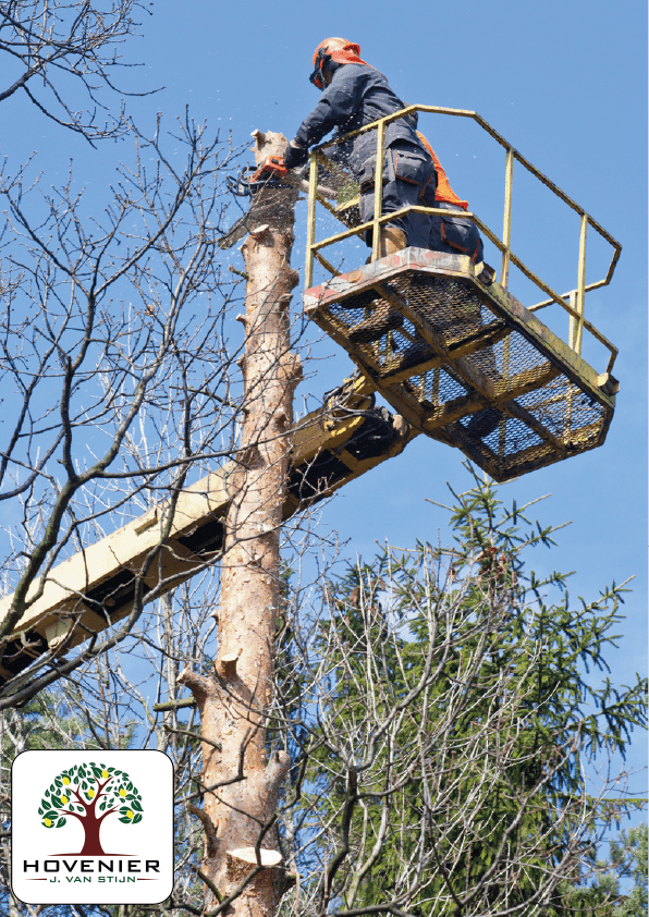 Bomen_laten_snoeien_met_hoogwerker